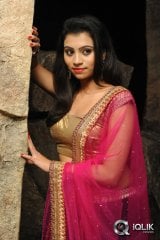Priyanka at Adi Lekka Movie Audio Launch